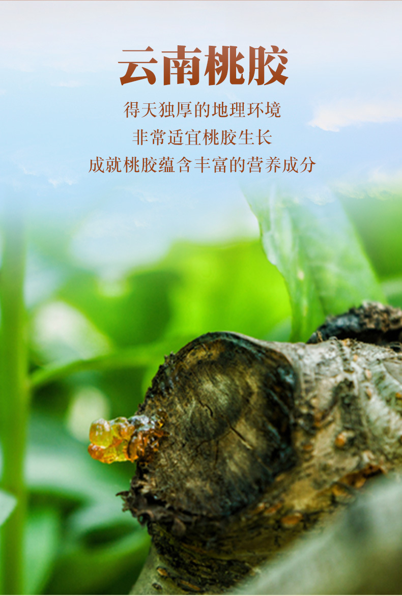 Dried Peach Gum Tao Jiao Natural Resin 500g Unsulfured for Soups and Desserts overview