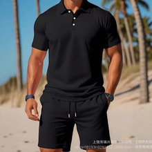 2026����վwish����ѷ���� �������䷭��Ŧ����ʿ��������polo��