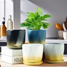 花盆陶瓷大号特价蝴蝶兰创意个性家用多肉带托盘厂家直销透气陶瓷