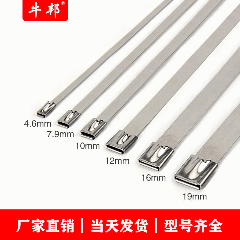 厂家批发不锈钢扎带自锁式电缆船用金属4.6×300捆扎拉紧固定卡扣