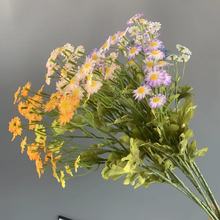 ������ʾ�30�^�r�� �ٻ��Ҿ�ܛ�b�[�� ��c�b� ·�����Ų廨