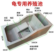 龟池塑料生态龟箱黄缘龟养殖蛋箱半水龟托陆龟乌龟草龟缸产蛋龟盆