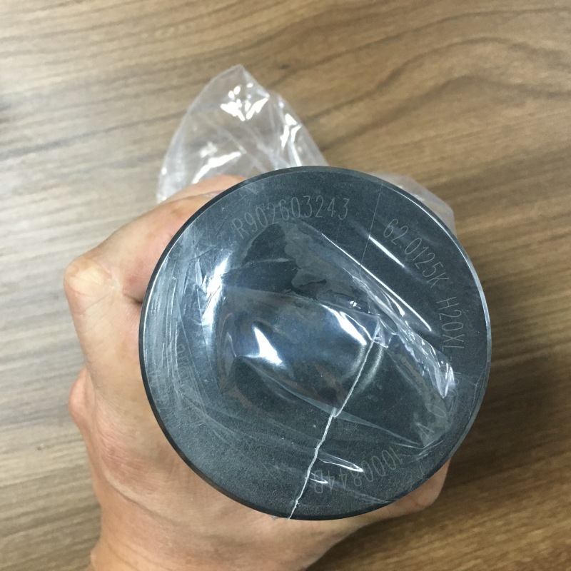 力士乐Rexroth滤芯 R902603243 62.0125KH20XL-J00-0-V