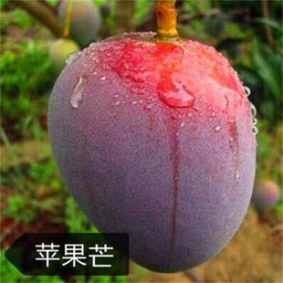 �޽�Ҭ��â����ˮ������̨�r1̖ �O��â ��â ���x��âͥԺ����ľ