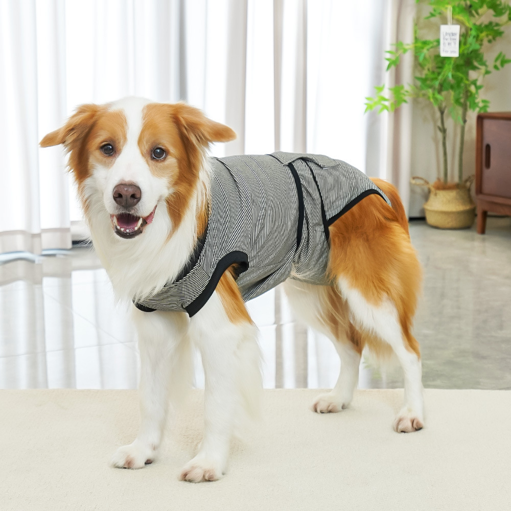 Transfronterizos ropa de esterilización de perros medianos y grandes, pantalones fisiológicos, ropa para perros después de la cirugía, suministros de ropa para perros, que el panda, el gato, el cabello dorado, Kirki image 7