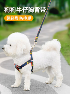 Dog Leash Collar Small, Medium and Large Puppy Pet Teddy Pomeranian Bichon Golden Retriever Harness Dog Walking Chain