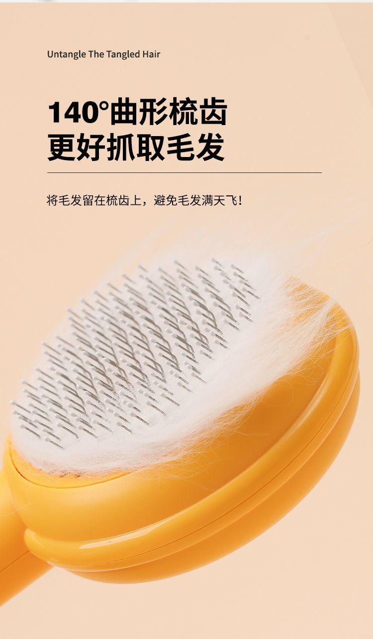 63a0359b-1615-45ae-8247-3f7838760629.jpe