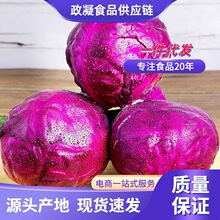 山东紫甘蓝新鲜紫包菜蔬菜1斤凉拌沙拉卷心菜紫菜包邮新鲜蔬菜1斤