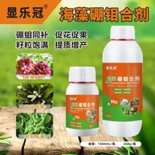 �@���ں������f�τ����fͬ�a�ٻ��ٹ�����M ���|���a