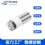 东莞专业微型生产水泵
