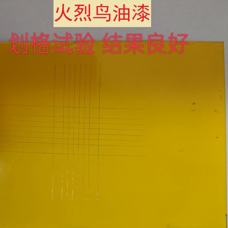 划格实验