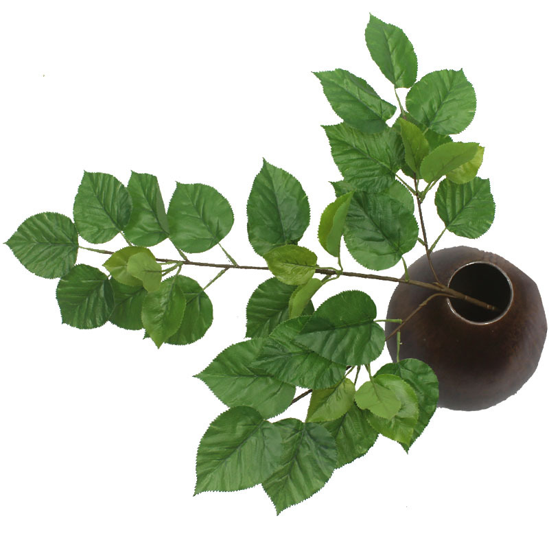 三叉珙桐叶 (3).jpg