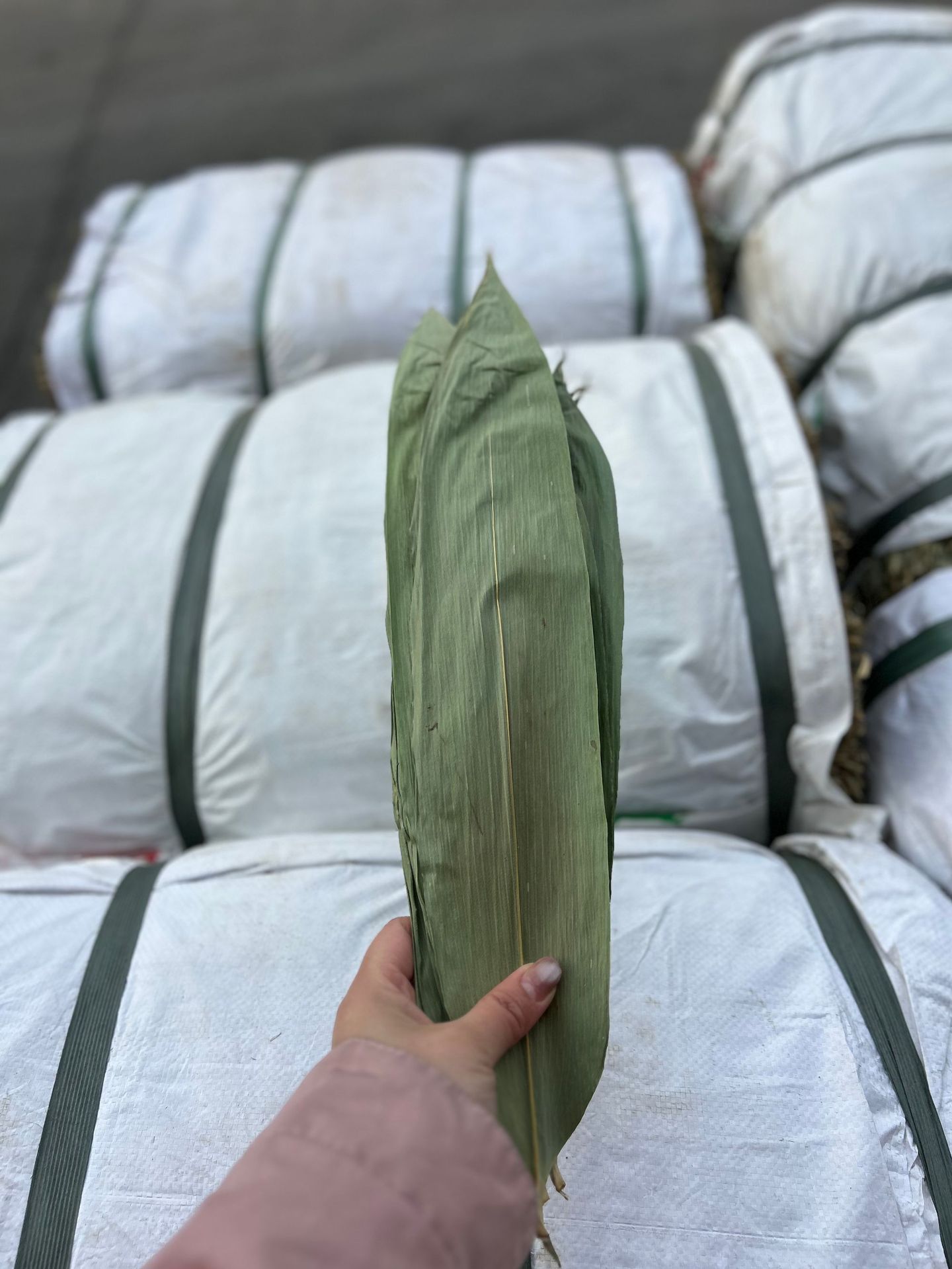 微信图片_20250407092057