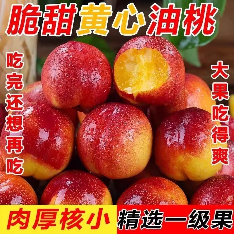 Hubei Yellow-Fleshed Nectarines, Authentic Large Fruit, 5 Pounds, Fresh Seasonal Fruit, Crisp Nectarines, Extra-Large, Super Sweet, Large Nectarines, Red Peaches