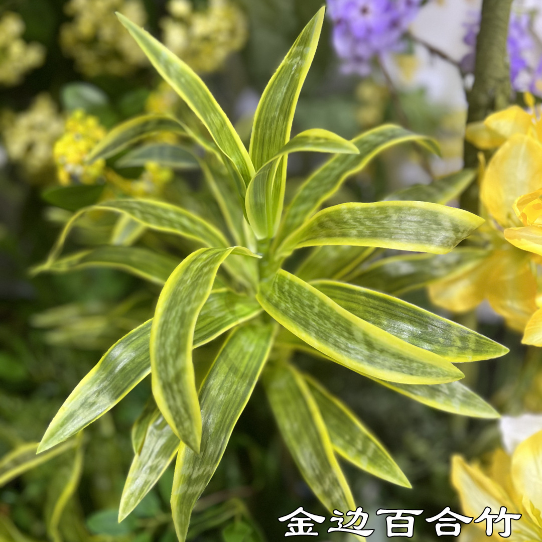 新款仿真绿植厂家 高仿金边玉兰叶 婚庆装饰绿叶假花批发量大价优