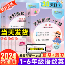 2024新版暑假衔接一本通三科合一二三年级下册小学暑假作业练习册