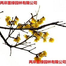 ���l�D÷�N���S÷����÷���Ľ�÷�D÷���N��