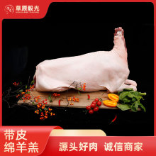 ���ɹŎ�Ƥ�d��� ����ͪ�w �חl�� �������rʳ�����⿾����ȫ��