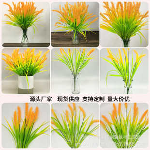 ���Ʒ����������ϵ��Ƚ�ɫˮ�����浾��������l���������������