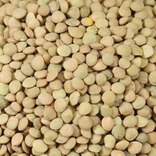 ������؛�G�ⶹС�ⶹ�r�ұⶹ�Ӹ��㶹�ɰlѿ����F؛һ�����l