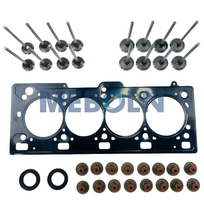 16-Valve Repair Kit Intake Valve – Cylinder and parts