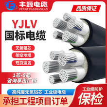 国标铝芯电缆YJLV架空三相四线 2 4 3+1芯 25 35 70 95平方电缆线