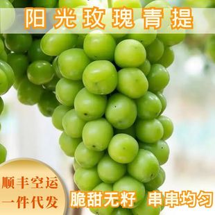 ��S���\�����ӡ���� ꖹ�õ������ �����o���������r����ˮ��