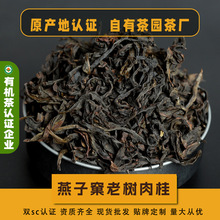 �������� ����ɽ����ɽ����t�۞����� ɢ�����l500g Դ�^���S