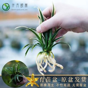 �m������ֲ�����F�m����ͯ�ھ�ˇ���N��߅�m���玧���������m�ݻ�