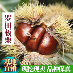 �޽���Ʒ�N���������ϱ����Nֲ�_����������Ե��Ԯ���Y��������