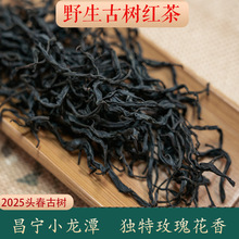 小龙潭野生古树红茶2025头春野生红云南古树红茶散茶 茶叶散批