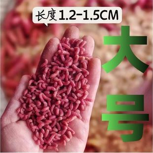 �ش��r���D���xҰ��R��Ϫ�����~ʯ���~�a�~�חl�D�����l���uͨ