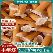 ���c�r�r�����S���r���x����S���r�ѷ�����ȸ�~С���~ʳˮĸ���