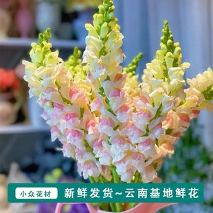 ���~���r�������r��ֱ�l����ֱ����c���û���[���û���^؛Դ