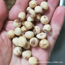 ��ɯ��(���Թ�)ÓƤ�C��ȥƤ�C �ʝɲܿh��ɯ��ÓƤ�C�S��