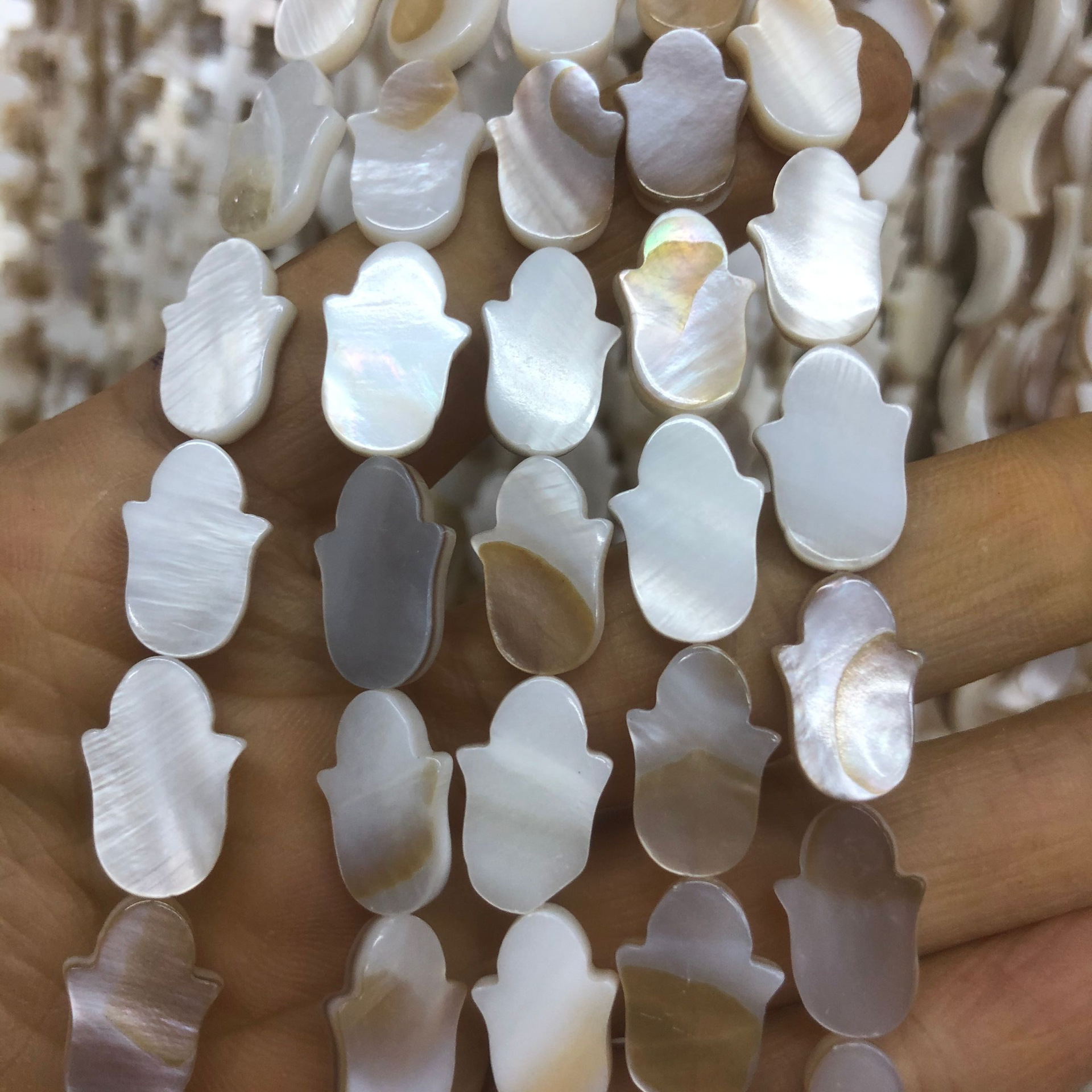 淡水贝:圆边手掌-4_旋转