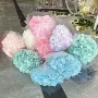 活动婚庆大叶背景墙永生花