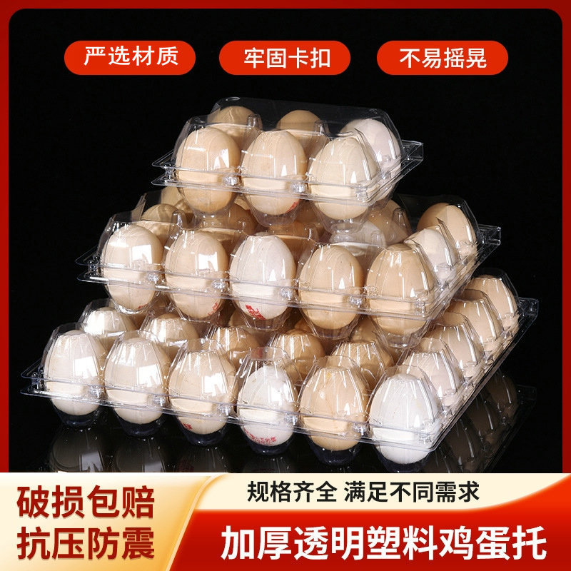 Disposable Plastic Egg Box Pet Thickeneded Egg Packaging Box Transparent Egg Tray Blister Shock-Proof and Pressure-Resistant Egg Box