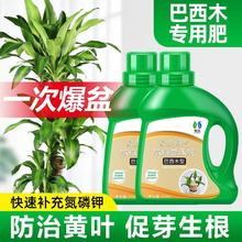 巴西木型营养液养花肥料家用盆栽通用幸运木水培水养植物肥料