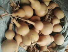 ������̖ ����J С���J