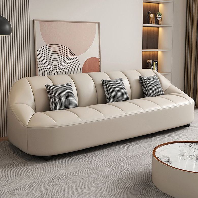 Cat Scratch-Resistant Modern Minimalist Small Apartment Sofa for Home Use, Light Luxury Reception
