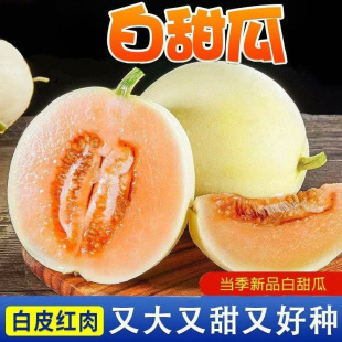 �����𡿬Fժ��������^��t����Ϯ������rˮ������۹��������l