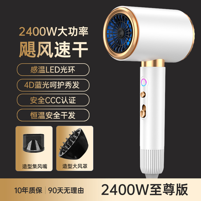 アマゾンクロスボーダー高速ヘアドライヤーハイパワー家庭用ヘアドライヤーギャラリー専用ブルーレイ冷熱風ブロー筒|undefined