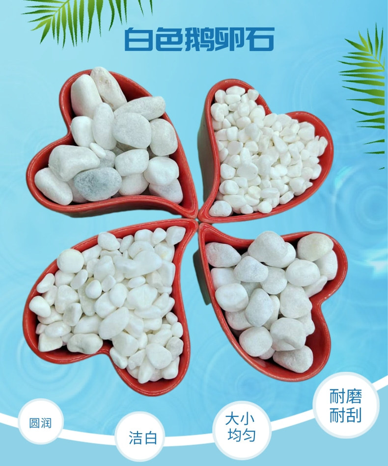 1白石子_1@凡科快图