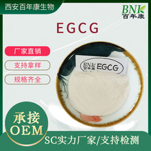 现货98％EGCG 绿茶萃取表没食子儿茶素没食子酸酯新 食品原料EGCG