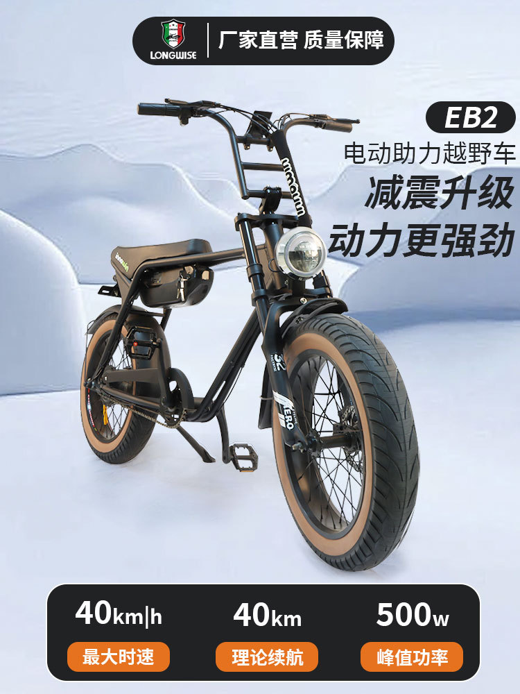 Bicicleta eléctrica transfronteriza LONGWISE 20 pulgadas neumático ancho bicicleta de nieve bicicleta de montaña asistida de doble cilindro freno de cilindro de carretera