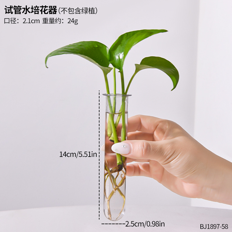 インスタイル木製フレーム水耕栽培透明花瓶ポトス植物フラワーアレンジメントリビングルームオフィスデスクトップクリエイティブ装飾|undefined