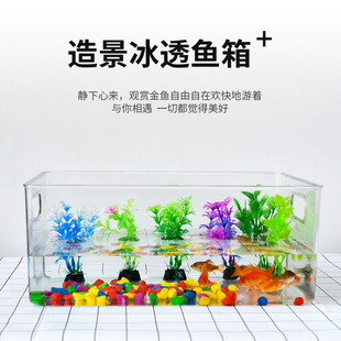 ���lС���B�������~�������;͸��ˮ�������ǿ�����B������Ӻ�