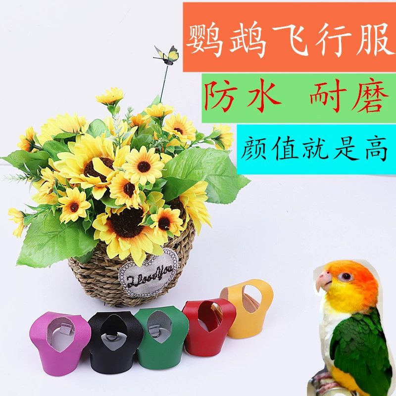 Пион Xuan Feng Starling Little Sun попугай Летающий жилет Тяговая Веревка Птица прогулочный кожаный ремешок веревка прогулочная веревка