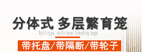 1749c97a-b93a-4c39-abc7-b62f7d8aa65a.jpe